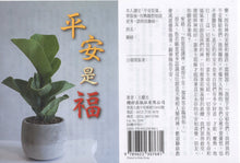 Load image into Gallery viewer, 平安是福 #13B-270
